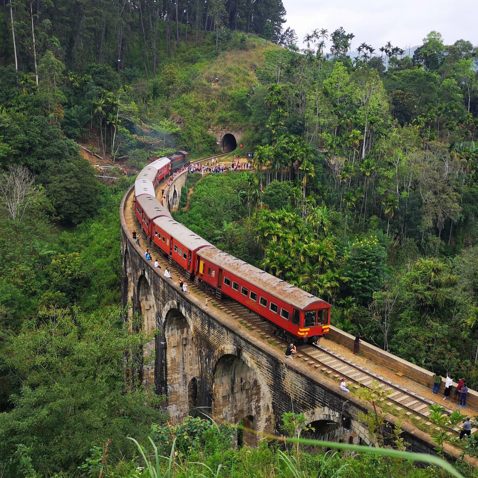LC Holiday Tours Sri Lanka