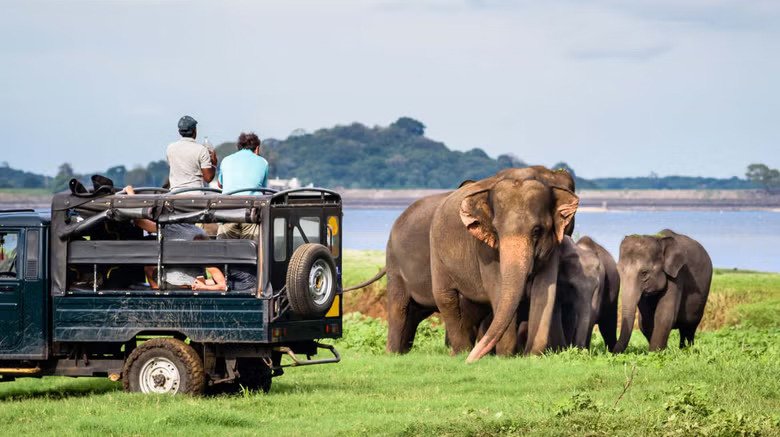 <span> Day 4 </span> Anuradhapura to Minneriya National Park and Kandy