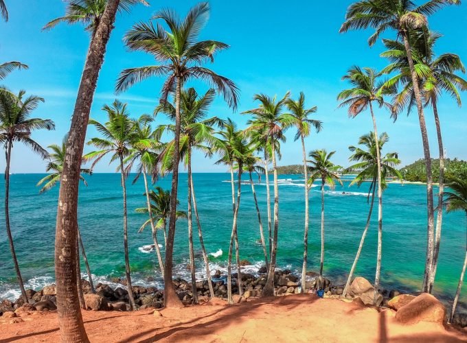 8-Day Coastal and Wildlife Wonders of Sri Lanka